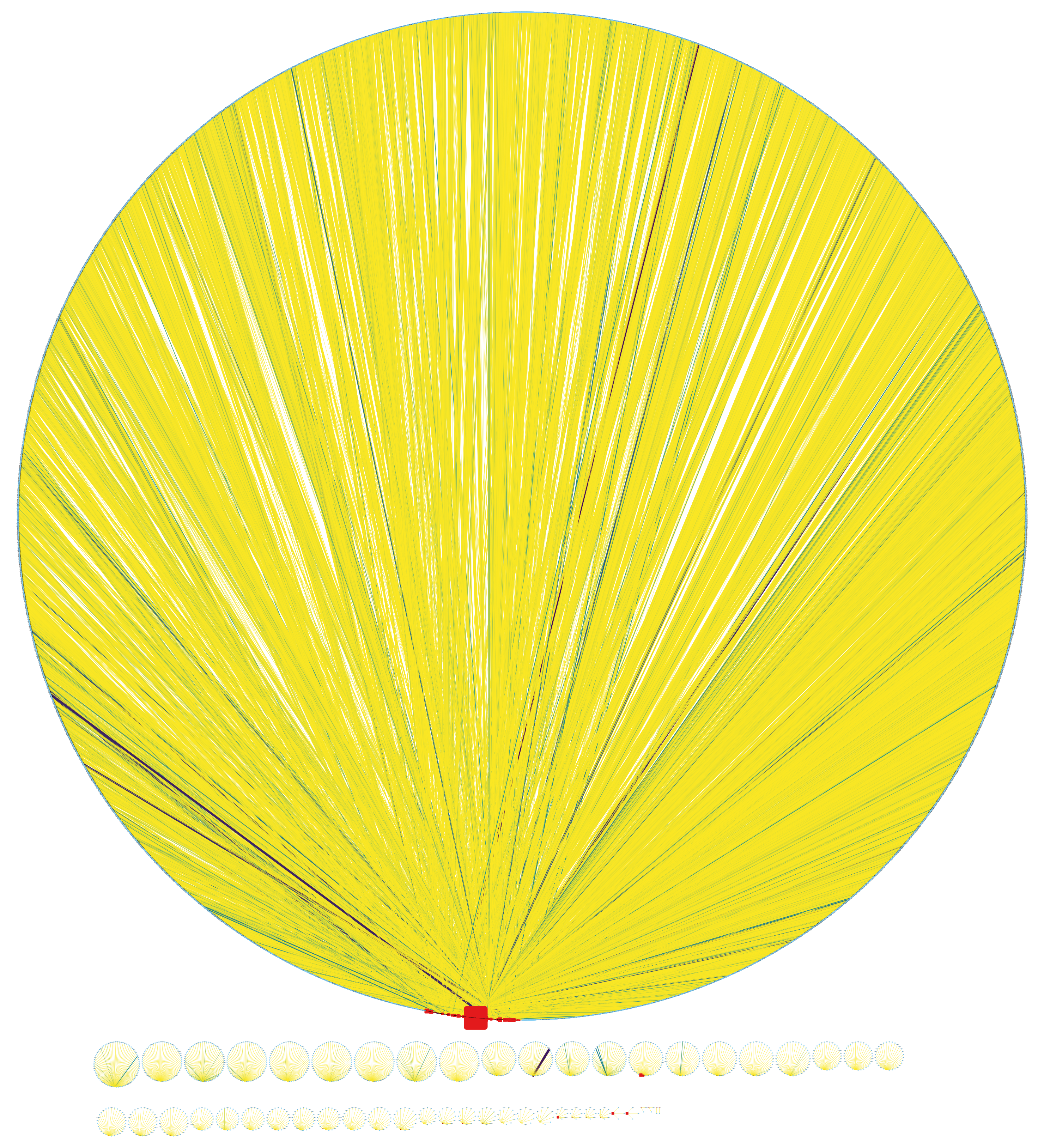 Bipartite network