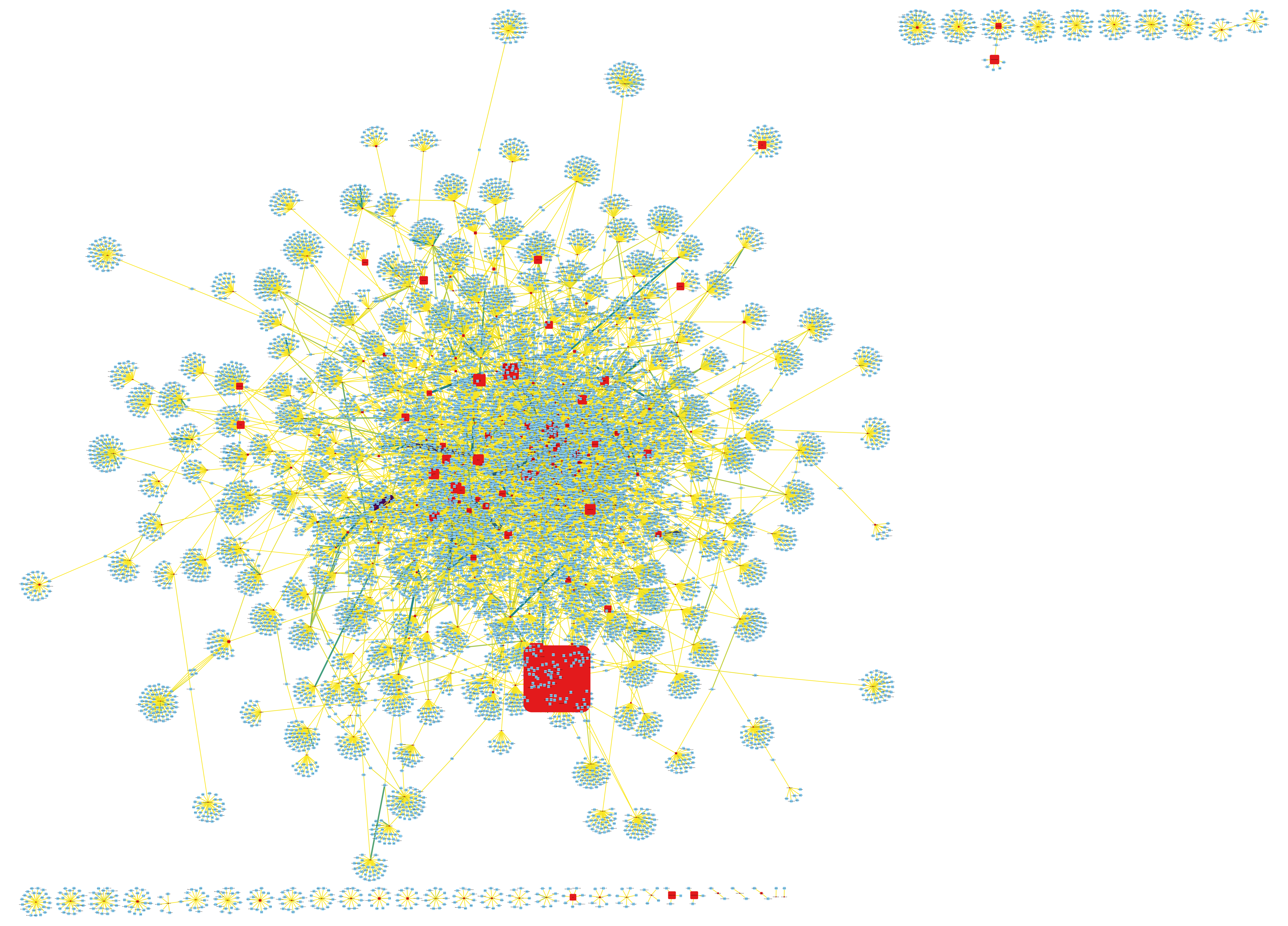 Bipartite filtered network